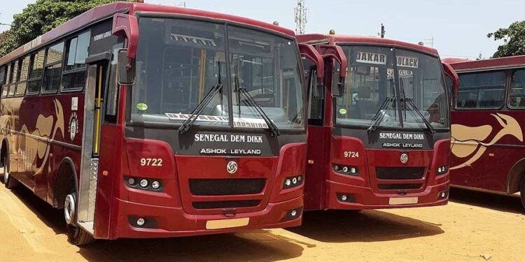 Dakar Dem Dikk reprend ses liaisons vers la Casamance