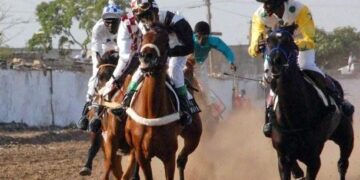 Nouveau président du Cng des Courses Hippiques : Les grandes foulées de Mouhamadou Lamine Diop