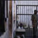 Manifestations à Mbour : L’enseignant, la bouteille d’essence et la prison 7 Manifestations à Mbour : L’enseignant, la bouteille d’essence et la prison