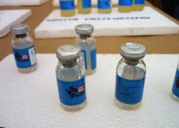 Santé animale : Le catalogue de vaccins homologués disponibles à l’ISRA