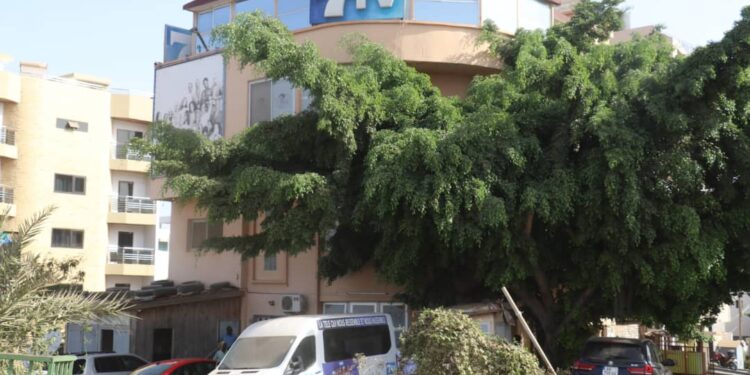 Forte mobilisation de la Cap devant 7TV : Les journalistes disent non à l’intimidation et réclament justice 1 Forte mobilisation de la Cap devant 7TV : Les journalistes disent non à l’intimidation et réclament justice