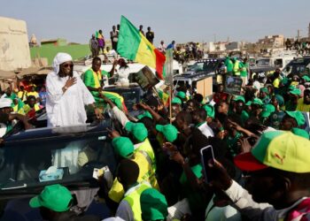 Secteur de la pêche : Ce que propose la candidate de ARC, Anta Babacar Ngom