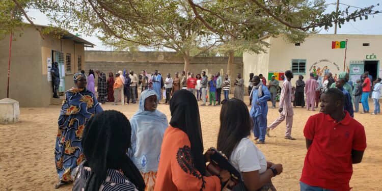 Scrutin présidentiel 2024 : Un mandataire si particulier au centre Adolphe Diagne de Golf Sud