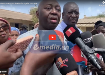 Présidentielle 2024 : La réaction du candidat Mamadou Lamine Diallo après son vote