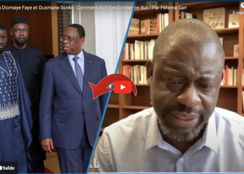 Entretien spécial : « Les défis sont immenses et donc, il faut que très rapidement la nouvelle se… » (Felwine Sarr)