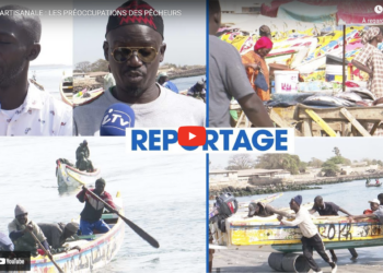 Pêche artisanale : l’appel fort des pêcheurs au président nouvellement élu, Bassirou Diomaye Faye