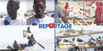 Pêche artisanale : l’appel fort des pêcheurs au président nouvellement élu, Bassirou Diomaye Faye