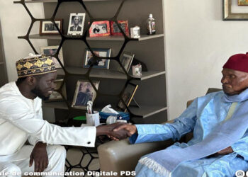 1ères tendances du scrutin présidentiel : Karim Wade félicite Bassirou Diomaye Faye