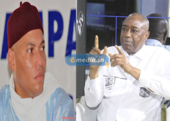 Nationalité sénégalaise : «Pas de candidat moitié poisson, moitié viande» (Amadou Kanouté)