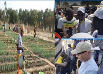 Campagne électorale : Le promesse ferme de Khalifa Sall aux maraîchers de la zone des niayes dans le département de Rufisque