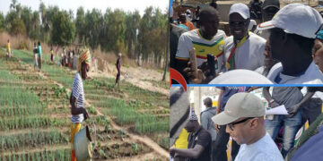 Campagne électorale : Le promesse ferme de Khalifa Sall aux maraîchers de la zone des niayes dans le département de Rufisque