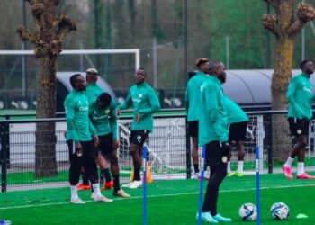 Face au Bénin : Les Lions au testeur des Guépards