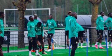 Face au Bénin : Les Lions au testeur des Guépards