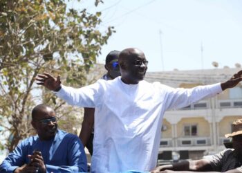 Les candidats et leur vision de l’écologie: Idy et son « armée verte de reboisement »