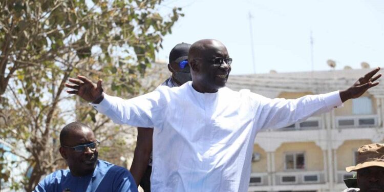 Les candidats et leur vision de l’écologie: Idy et son « armée verte de reboisement »