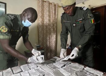 Trafic de billets Noirs : La douane saisit une valeur de 05 milliards  CFA à Goudomp