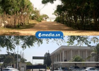 Affaire de la bande des filaos de Guédiawaye : La Cour suprême n’a pas tranché