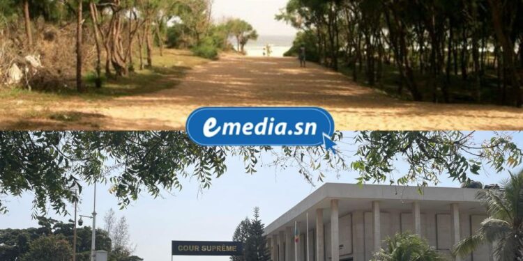 Affaire de la bande des filaos de Guédiawaye : La Cour suprême n’a pas tranché