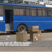 Visite du chef de l’État en Gambie : Les attentes des chauffeurs gambiens au Sénégal 6 Visite du chef de l’État en Gambie : Les attentes des chauffeurs gambiens au Sénégal