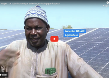 Exploitation agricole dans les Niayes : Les bons points de l’alliance entre le solaire et l’énergie fossile