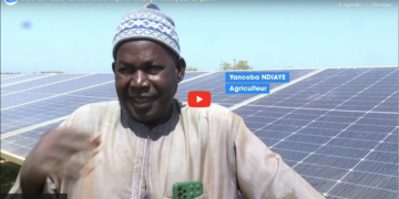 Exploitation agricole dans les Niayes : Les bons points de l’alliance entre le solaire et l’énergie fossile 2 Exploitation agricole dans les Niayes : Les bons points de l’alliance entre le solaire et l’énergie fossile
