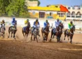 12ème journée Courses hippiques : Cinq courses pour honorer feu Pr Oumar Bao