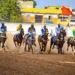 Courses Hippiques : "Dady" s'offre le prix du Pm Ousmane Sonko 7 12ème journée Courses hippiques : Cinq courses pour honorer feu Pr Oumar Bao