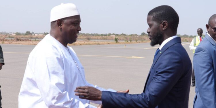 Diplomatie : Le Président Bassirou Diomaye Faye accueilli dans la capitale gambienne