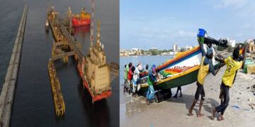 [Suite Dossier] Grand Tortue Ahmeyim et l’environnement : Pêcheurs, transformatrices, écologistes, pestent contre les «effets néfastes»