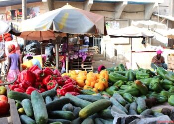 Ravitaillement en pomme de terre, carotte, oignon blanc, piment… : Une hausse généralisée des prix qui fâche