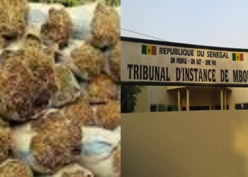 Diokhar Sandiara : Le voleur et les 13 sacs de fanes d’arachide