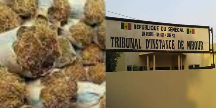 Diokhar Sandiara : Le voleur et les 13 sacs de fanes d’arachide 1 Diokhar Sandiara : Le voleur et les 13 sacs de fanes d’arachide