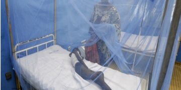 Journée mondiale du paludisme : focus sur la situation épidémiologique du Sénégal