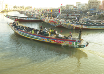 [Dossier] Grand Tortue Ahmeyim et l’environnement : Le gaz «trouble» la pêche locale (1ère partie)