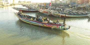 [Dossier] Grand Tortue Ahmeyim et l’environnement : Le gaz «trouble» la pêche locale (1ère partie)