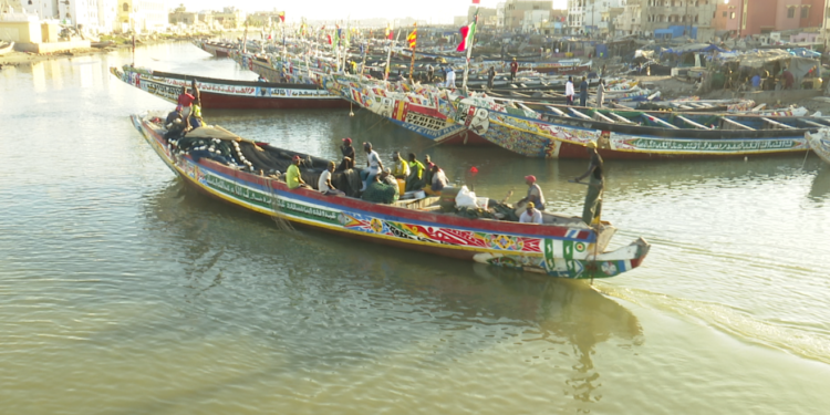 [Dossier] Grand Tortue Ahmeyim et l’environnement : Le gaz «trouble» la pêche locale (1ère partie)
