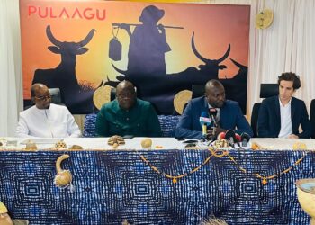 Télévision : Canal + lance une nouvelle chaîne « Pulaagu »