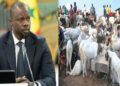 Le Billet du Baadoolo : Sonko, le mouton et le dur ton
