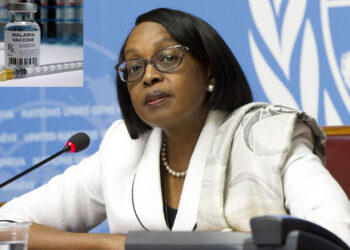 Lutte contre le Paludisme : Les deux nouveaux vaccins bientôt déployés en Afrique