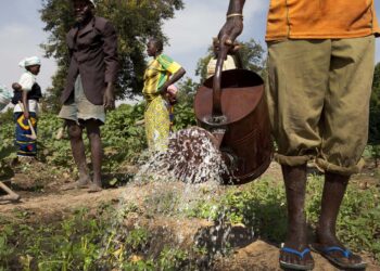 Pour une agriculture plus performante et une meilleure alimentation : Ce qui montre que l’ UISTAAC est en ordre de bataille 