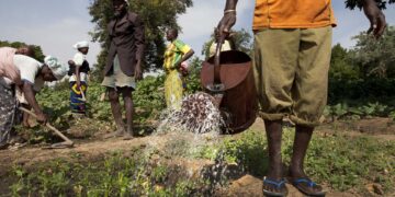 Pour une agriculture plus performante et une meilleure alimentation : Ce qui montre que l&rsquo; UISTAAC est en ordre de bataille 