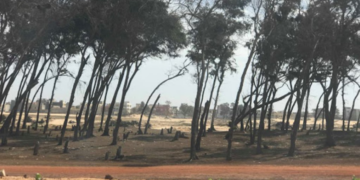 Requête contre la déclassification de la bande de filao : la Cour Suprême ouvre une instruction
