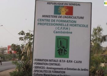 Centre de formation professionnel et horticole (Cfph) : Le personnel durcit le ton et alerte