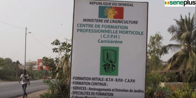 Centre de formation professionnel et horticole (Cfph) : Le personnel durcit le ton et alerte