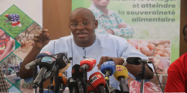 Fiara 2024 : Le défi de l’internationalisation