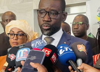 Modèle économique : ce que le ministre de la Microfinance et de l’Économie sociale et solidaire, Aliou Dione, déplore