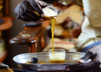 [DOSSIER] Aux origines du «Attaya» : Comment le thé est arrivé au Sénégal 