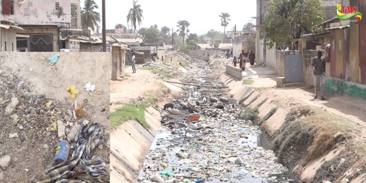 Ziguinchor : Découverte macabre dans un canal 1 Ziguinchor : Découverte macabre dans un canal