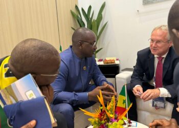 Forum Mondial de l’Eau : « Nous étions à Bali pour tenir notre rang et … » (Cheikh Tidiane Dièye)