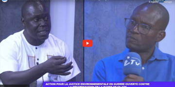 Environnement : Action pour la justice environnementale en guerre ouverte contre la déforestation de la bande de filaos sur le littoral 2 Environnement : Action pour la justice environnementale en guerre ouverte contre la déforestation de la bande de filaos sur le littoral